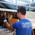 Operaio al lavoro